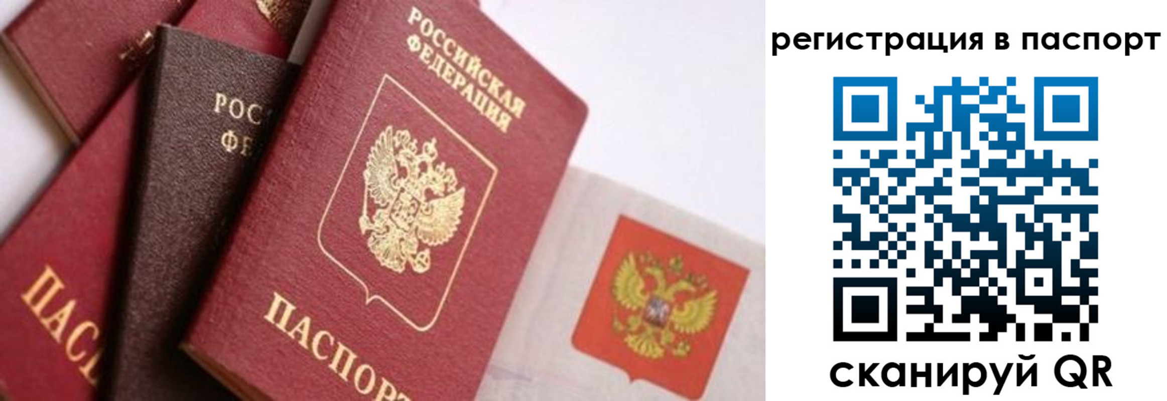 прописка в квартире в Ростове